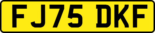 FJ75DKF