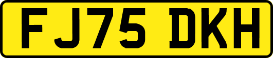 FJ75DKH