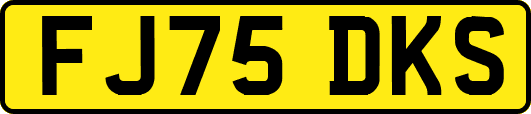 FJ75DKS