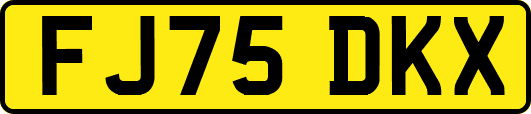 FJ75DKX