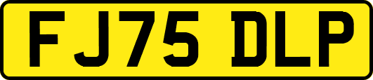 FJ75DLP