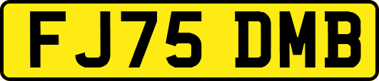FJ75DMB