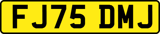 FJ75DMJ