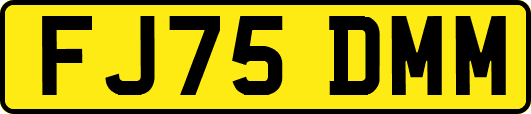 FJ75DMM
