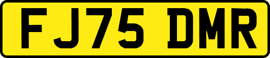 FJ75DMR