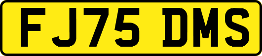 FJ75DMS