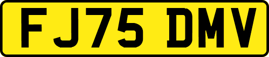 FJ75DMV