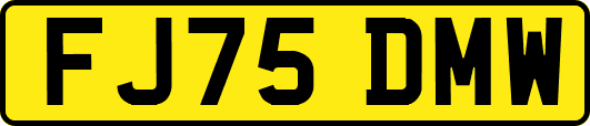 FJ75DMW