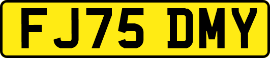 FJ75DMY