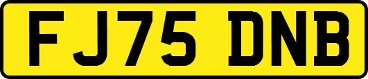 FJ75DNB