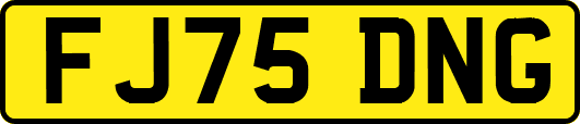 FJ75DNG