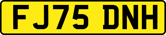 FJ75DNH