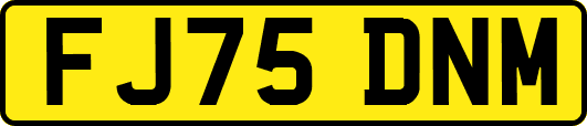 FJ75DNM