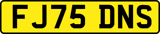 FJ75DNS