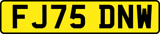 FJ75DNW