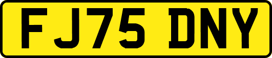 FJ75DNY