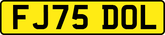 FJ75DOL