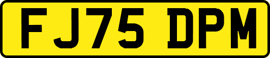 FJ75DPM