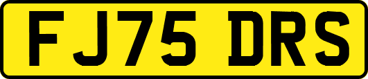 FJ75DRS