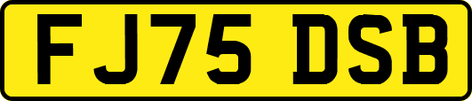 FJ75DSB