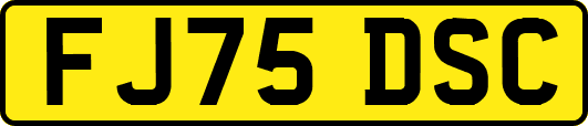 FJ75DSC