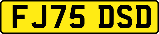 FJ75DSD
