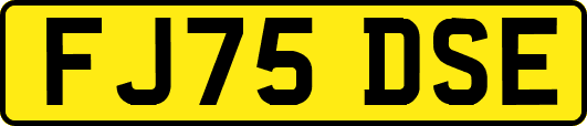 FJ75DSE