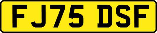 FJ75DSF