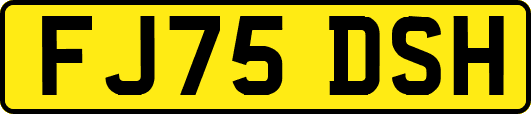 FJ75DSH