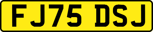FJ75DSJ