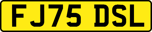 FJ75DSL