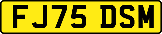 FJ75DSM