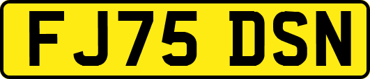FJ75DSN