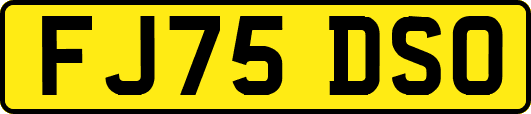 FJ75DSO