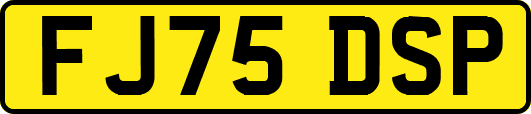 FJ75DSP