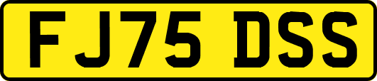 FJ75DSS