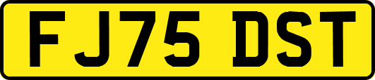 FJ75DST