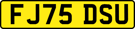 FJ75DSU