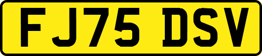 FJ75DSV