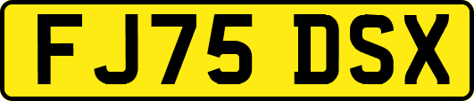FJ75DSX