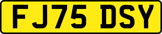 FJ75DSY