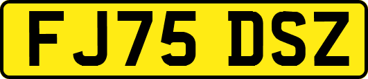 FJ75DSZ