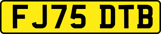 FJ75DTB