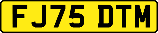 FJ75DTM