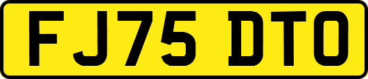 FJ75DTO
