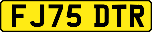 FJ75DTR