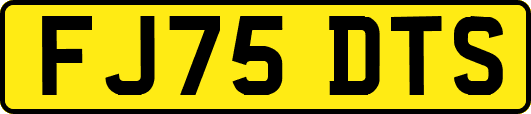 FJ75DTS