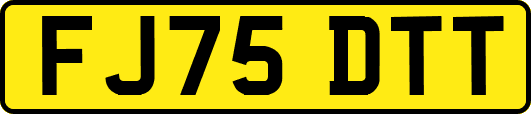 FJ75DTT