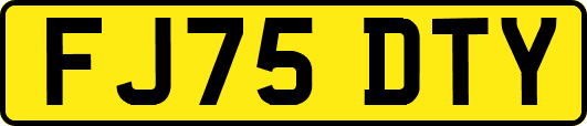 FJ75DTY