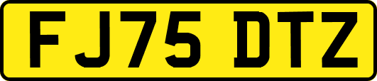 FJ75DTZ